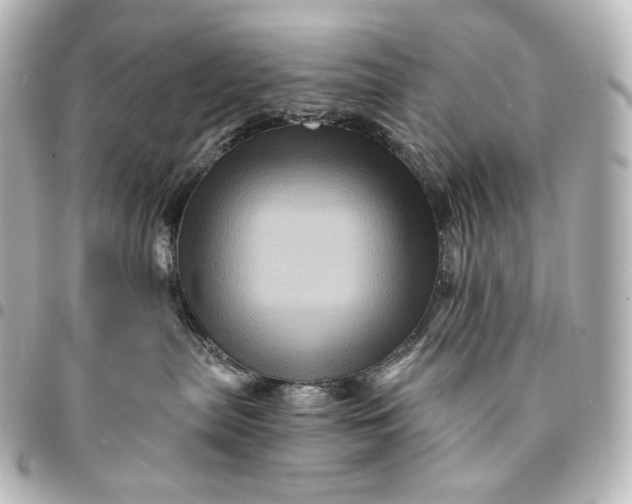 X0000095550287200712281613