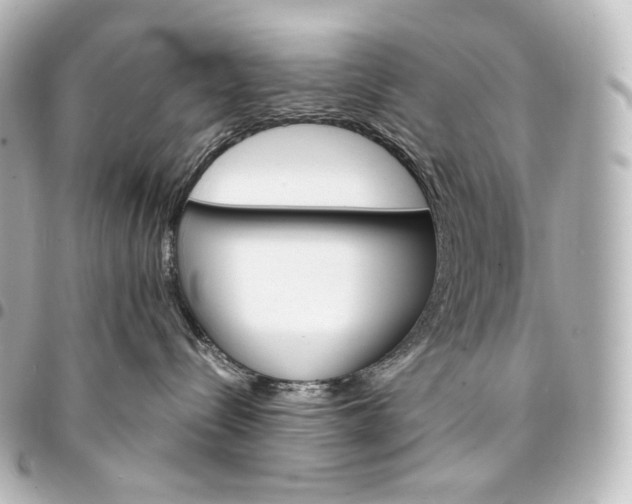 X0000095550288200712281613