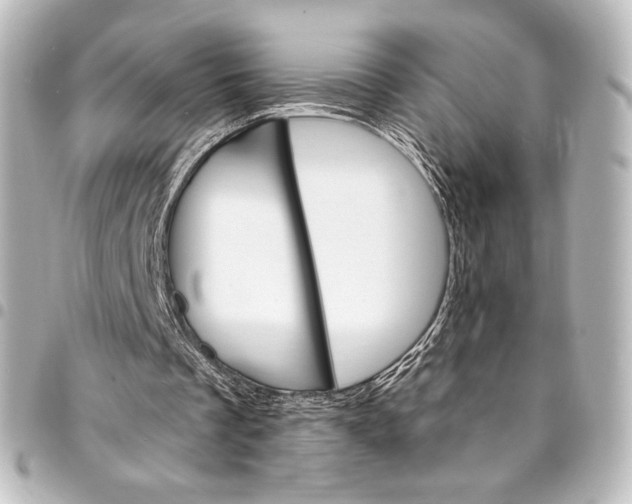 X0000095550289200712281612