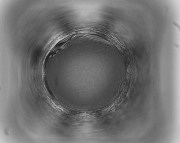 X0000095550290200712281612