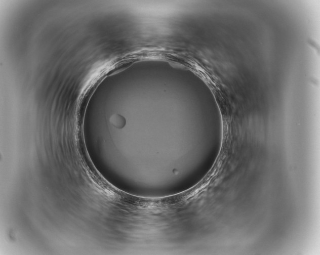 X0000095550293200712281612