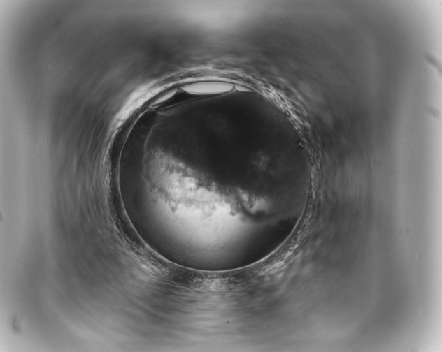 X0000095550295200712281612