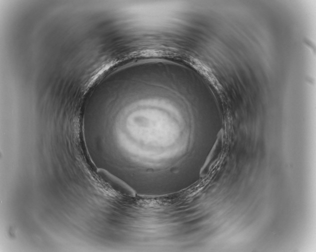 X0000095550297200712281612