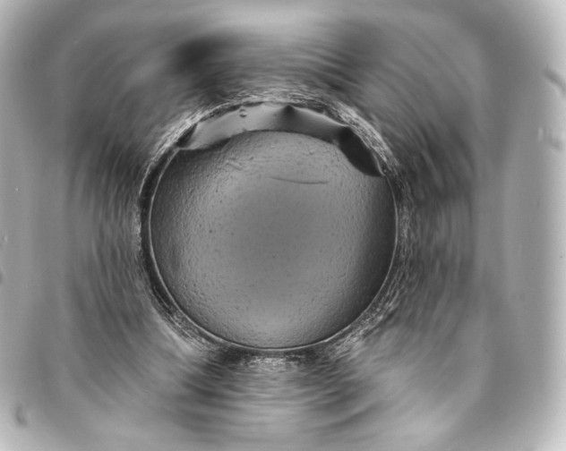 X0000095550298200712281612