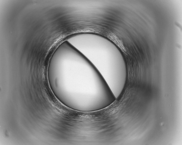 X0000095550300200712281612