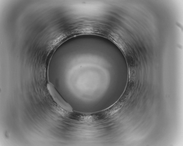 X0000095550301200712281612