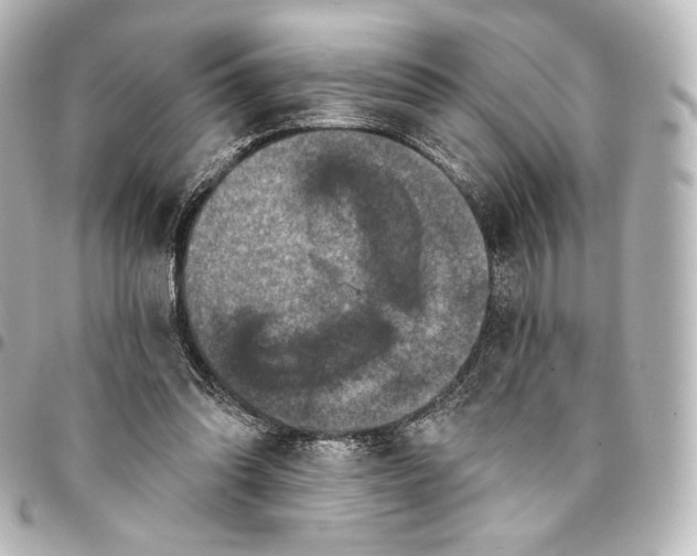 X0000095550302200712281612