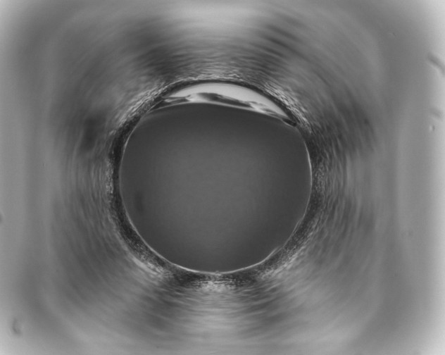 X0000095550303200712281612