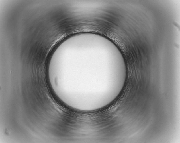 X0000095550304200712281612