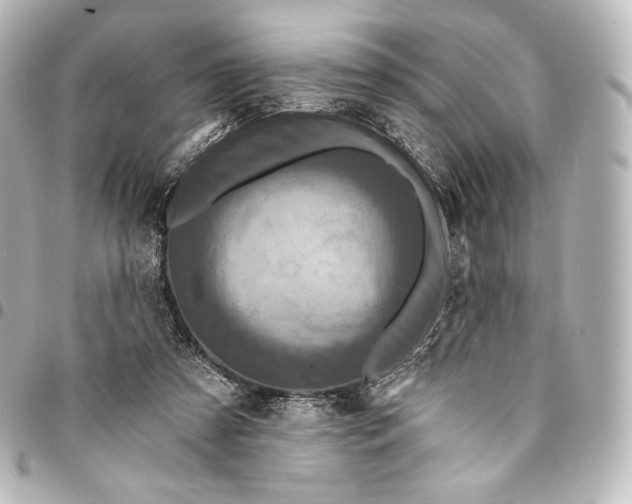 X0000095550305200712281612