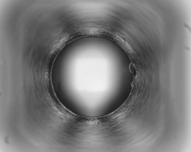 X0000095550306200712281612