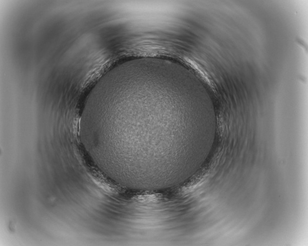 X0000095550307200712281612