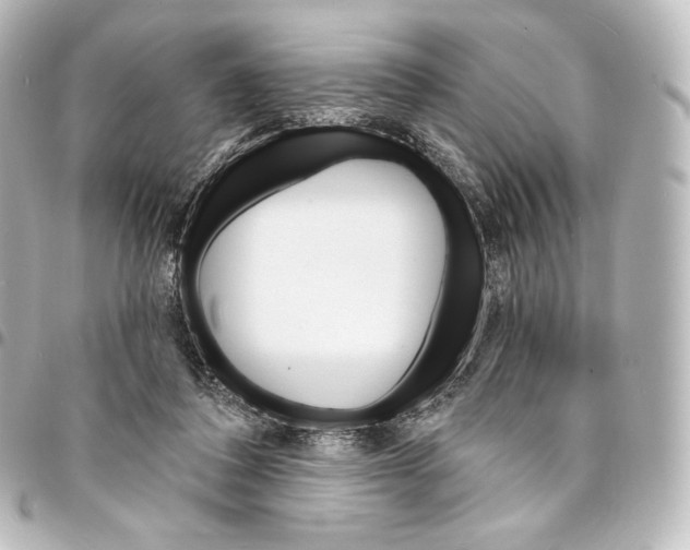 X0000095550308200712281612