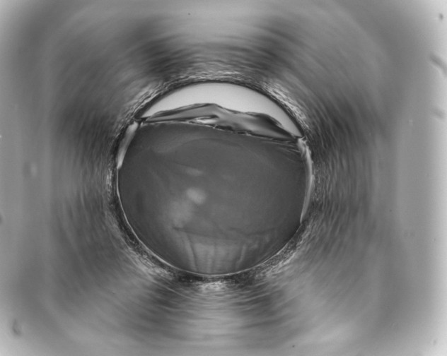 X0000095550309200712281612