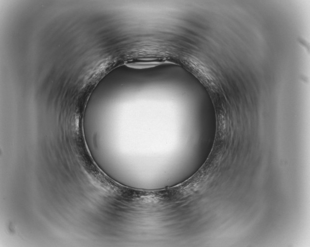 X0000095550310200712281612