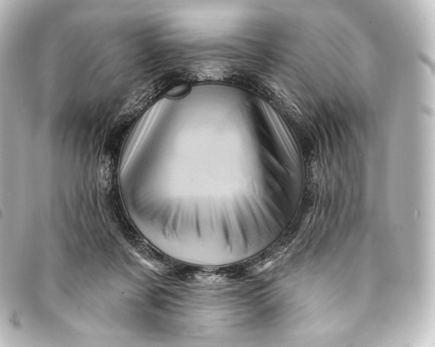 X0000095550311200712281612