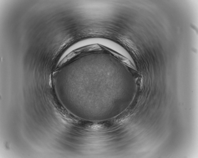 X0000095550312200712281612