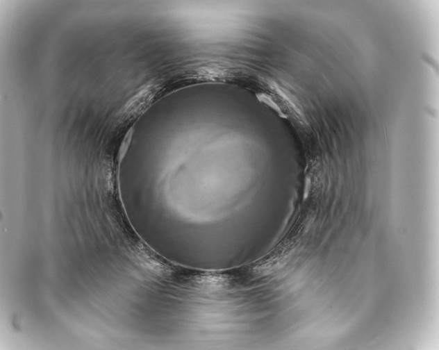 X0000095550313200712281612