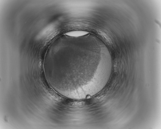 X0000095550314200712281612