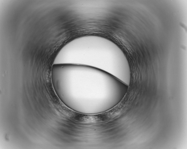 X0000095550316200712281612