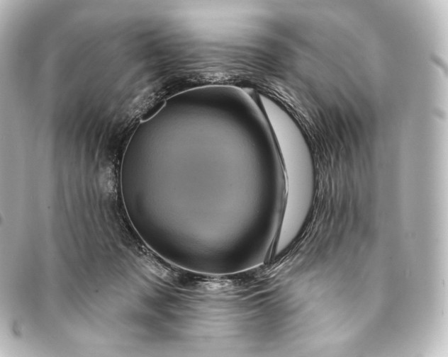 X0000095550317200712281612