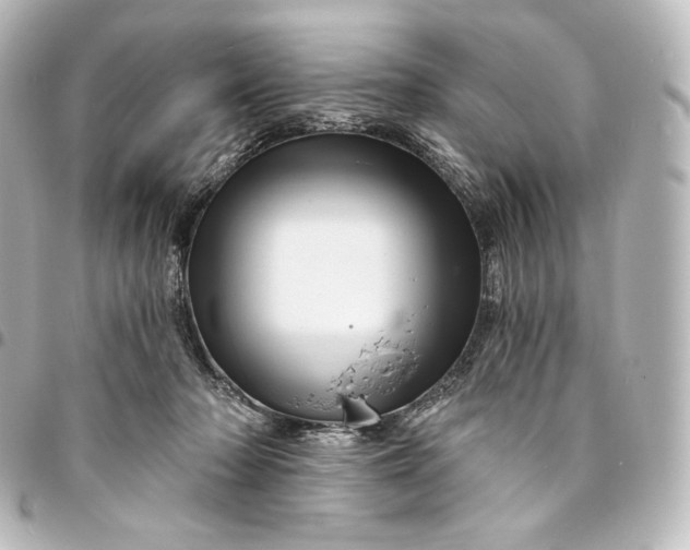 X0000095550318200712281611