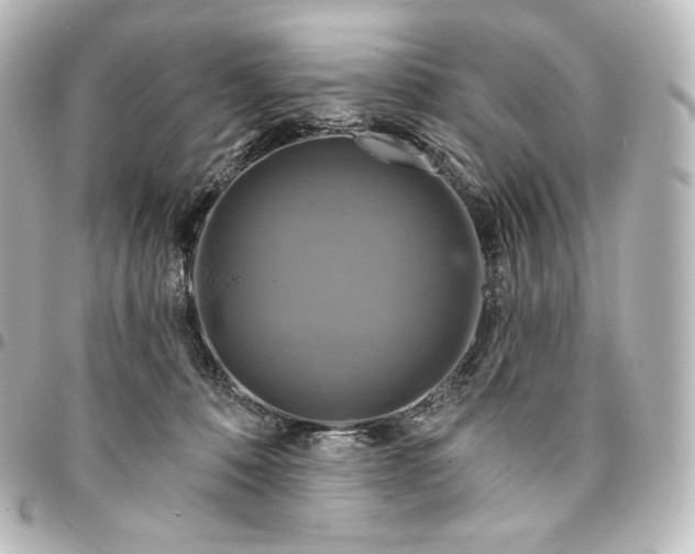 X0000095550320200712281611