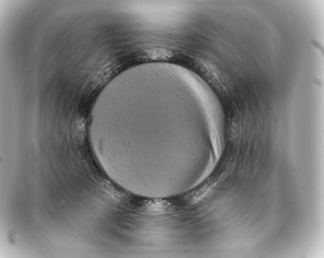 X0000095550321200712281611