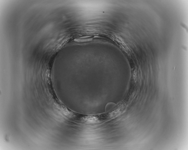 X0000095550322200712281611