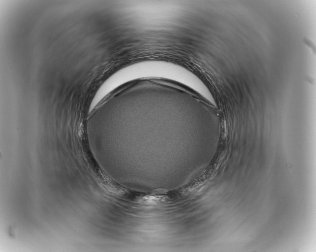 X0000095550323200712281611