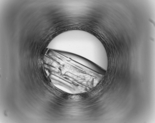 X0000095550324200712281611