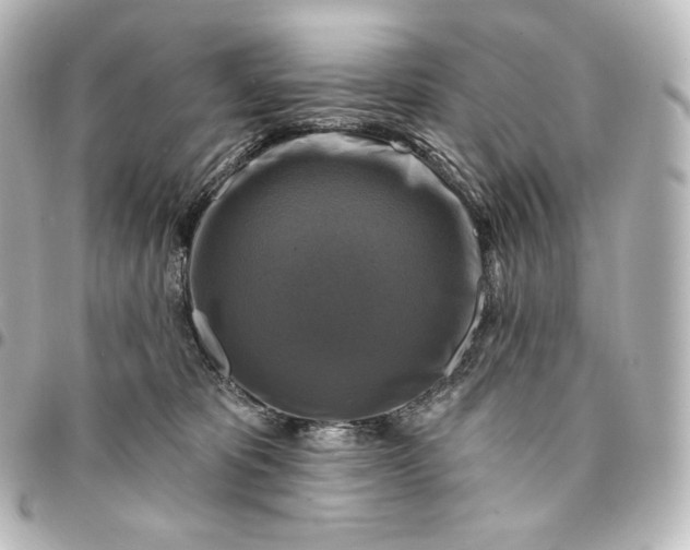 X0000095550325200712281611