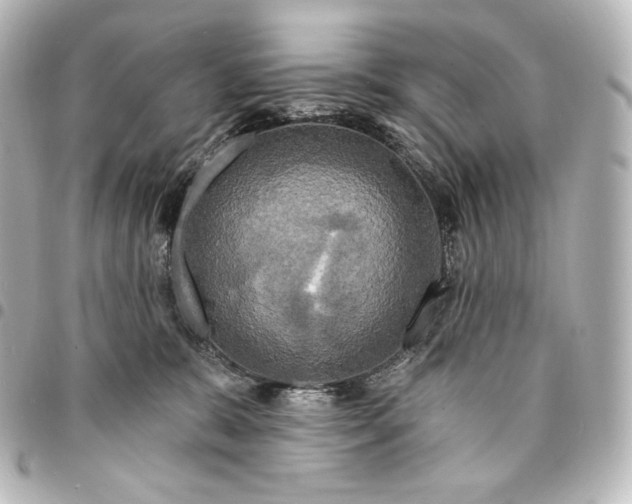 X0000095550327200712281611