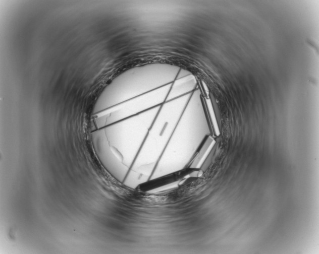 X0000095550328200712281611