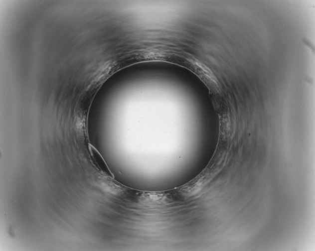 X0000095550329200712281611