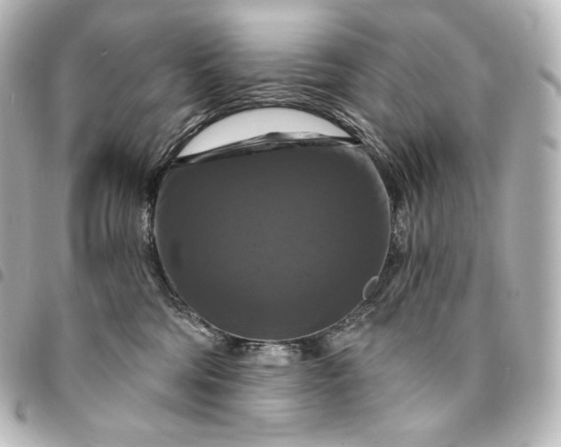 X0000095550330200712281611