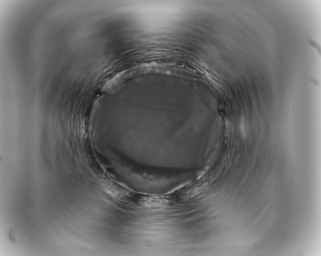 X0000095550331200712281611