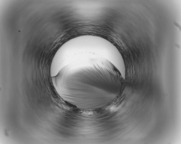 X0000095550332200712281611