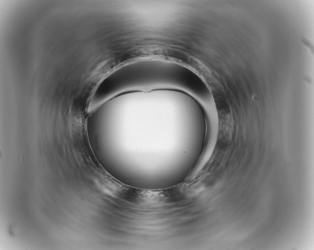 X0000095550333200712281611