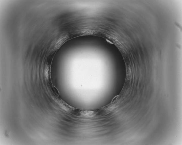 X0000095550334200712281611