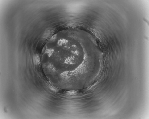 X0000095550335200712281611