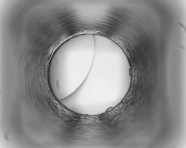 X0000095550337200712281611