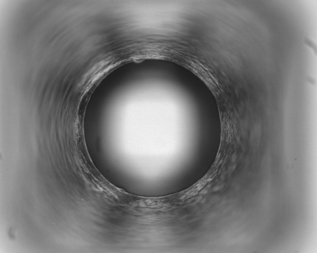 X0000095550338200712281611