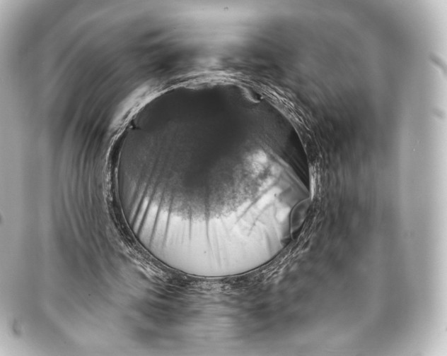 X0000095550339200712281611