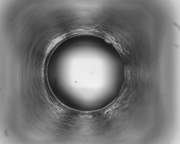 X0000095550340200712281611