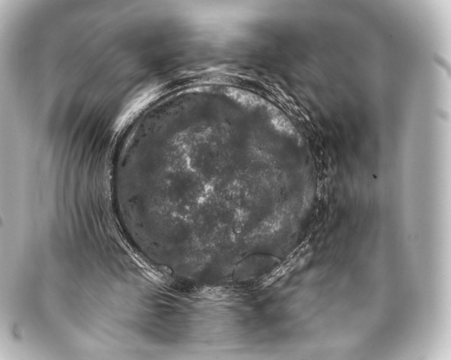 X0000095550341200712281611