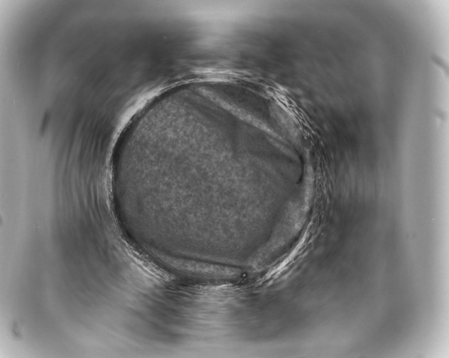 X0000095550342200712281611