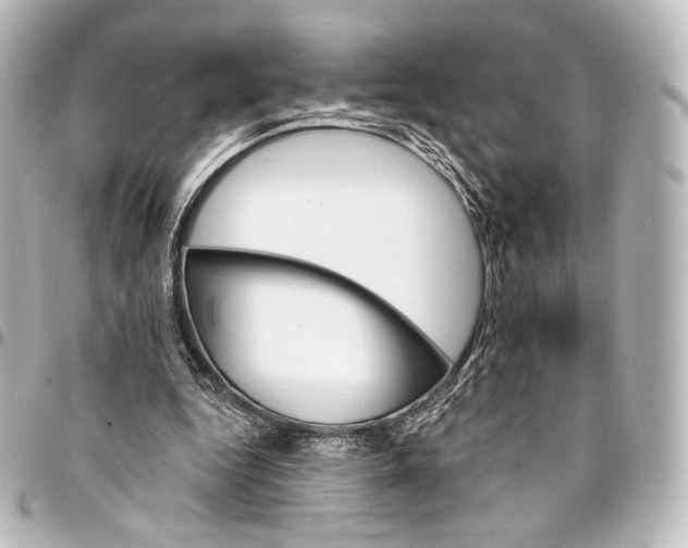 X0000095550344200712281611