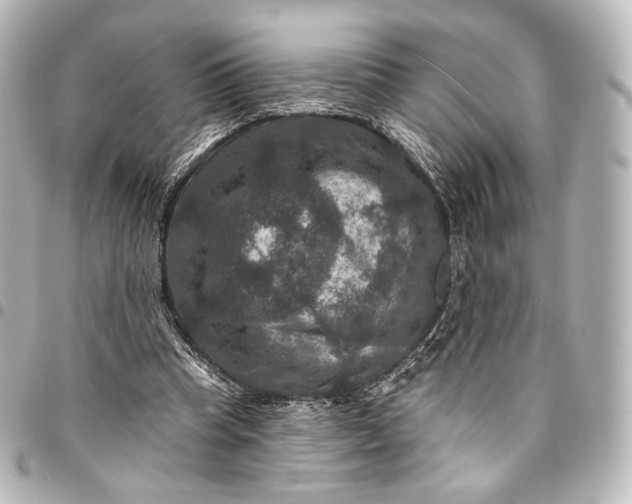 X0000095550345200712281611