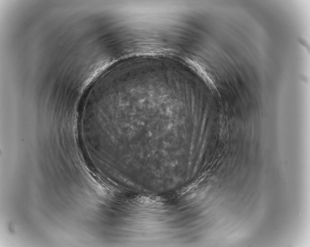 X0000095550346200712281611